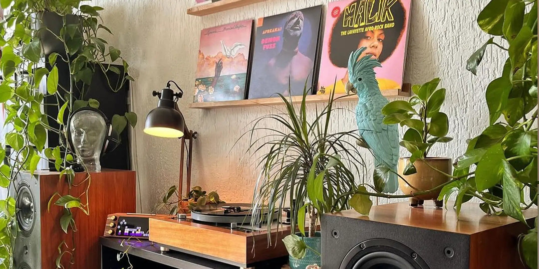 LP Wandplank - Eik: Terug op Voorraad